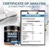 Nad Resveratrol Quercetina Curcuma Hecho En Usa