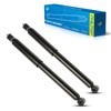 PHILTOP Rear Struts Shock Absorbers 37298 * 2,Automotive Replacement Shocks