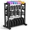 4-Tier Dumbbell Rack,1100LBS Weight Rack, Barbell Holder Bumper Plate Rack