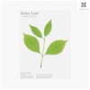 Home And Kitchen Product Green for daily use and gifting,