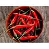 Predilecta Pepper Sauce 5.29 oz by Brazilian Corner | Molho