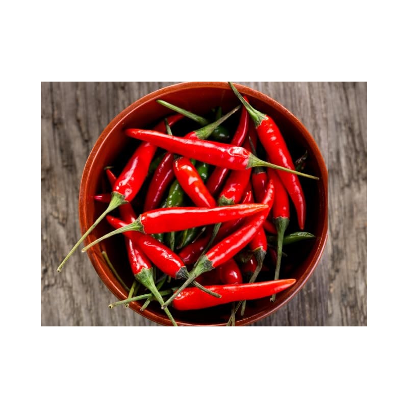 Predilecta Pepper Sauce 5.29 oz by Brazilian Corner | Molho