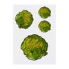 4 x 'Brussel Sprout' Temporary Tattoos - Water Resistant, Skin-Safe,