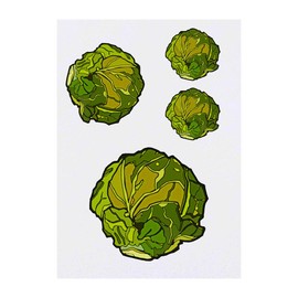 4 x 'Brussel Sprout' Temporary Tattoos - Water Resistant, Skin-Safe, Non-Toxic Transfers, Mixed Sizes (TO00015429)