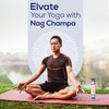 Raajsee Incense Stick Holder Bundle with Satya Nag Champa Incense