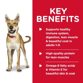 Hill's Science Diet Wet Dog Food, Adult 1-6, Beef & Barley Entrée, 13 Ounce (Pack of 12)