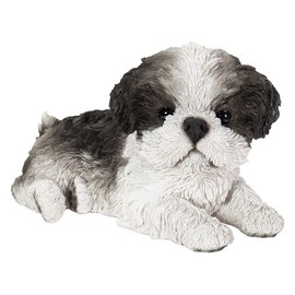 Vivid Arts Laying Puppy Pet Pals (Black and White Shih Tzu) (LP-)