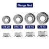 1/4-20 Serrated Flange Hex Lock Nuts 100Pcs 304 Stainless Steel