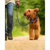 TagME Slip Leads for Dogs, 6 FT Heavy Duty Dog