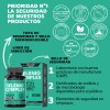 Selenio Seleniometionina 240mcg Vitamina Moringa Raíz Cúrcuma Capsulas Curcuminoides 100