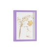 DEMAIKE 8.5x11 Shadow Box Frame Display Case with Real Glass,