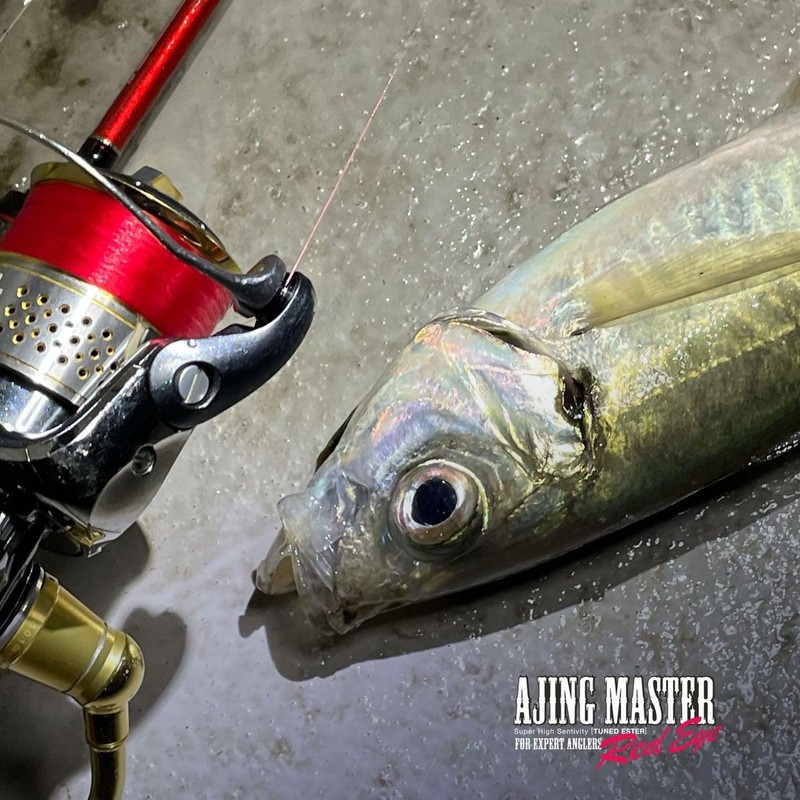 VARIVAS Line Ajing Master Ester Red Eye 0.25