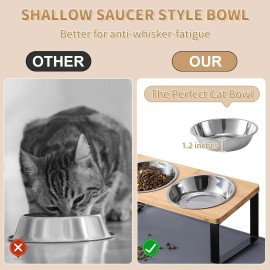 Upgraded Elevated Cat Bowls with Food Mat