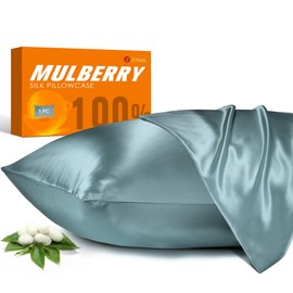 100% Mulberry Silk Pillowcase for Hair and Skin, 22 Momme Natural Silk Pillow Case with Zipper, Both Sided Pure Silk Pillow Cover for Women Mom Men (Airy Blue, King 20''×40'')