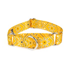 Country Brook Petz - Yellow Bandana Martingale Dog Collar - Country and Western Collection Featuring Rustic Designs (1 Inch, Medium)