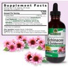 Natural's Answer EcinacceRoot & Golden Seal, Alcoho-Free, 120 ml