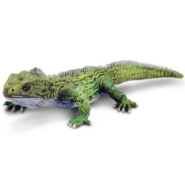 Safari Ltd. Tuatara Figurine - Detailed 7" Plastic Model Figure - Fun Educational Toy for Boys, Girls & Kids Ages 3+