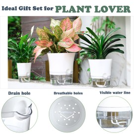 6-Pack 6" Clear Self Watering Pots for Indoor Plants Large Hexagon Self-Watering Planters Orchid Pots Plastic Wick Flower Plant Pots for African Violet, Spider, Herbs, Home Decor, White and Clear