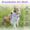 SALFSE Cat Harness and Leash for Walking Escape Proof, Adjustable