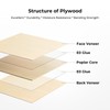 CREALITY FALCON Basswood Sheets 6 Pack 12" x 12" x