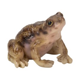 Uvia H20203 Himael Clip Rest, 1.4 x 1.4 inches (3.5 x 3.5 x 2.7 cm), Doll Figure, Figure, Animal, Garden, Decoration, Realistic, Cute Frog