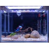 YZHZOM Aquarium Decoration Ship: Realistic Shipwreck + Floating Diver, Blue,