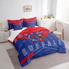 Feelyou Football 7 Pieces Comforter Sets Queen Size Buffalo Bedding
