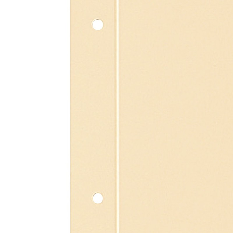 コクヨ つづりこみ表紙セット 表紙10組20枚＋ひも10本入 A4 2穴 ツ-RK87