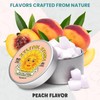 Xylitol Stone Sugar Free Candy - Vegan & Keto Friendly