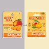 Burt 's Bees Bálsamo de labios hidratante, mango 0.15 onzas.