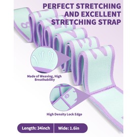 8 Loop Stretch Bands for Flexibility – Elastic Yoga Stretching Strap with Neoprene Handles, Perfect for Physical Therapy, Pilates, Yoga, Dance, Gymnastics, and Leg Stretching Exercises(Blue)