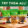 Nature Valley Protein Granola, Oats and Honey Granola, Resealable Snack
