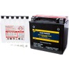 Fire Power Maintenance Free Battery CTX14H-BS Compatible With Honda GL1500CF