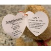TY BEANIE BABY CURLY THE BROWN NAPPY BEAR 9” STUFFED