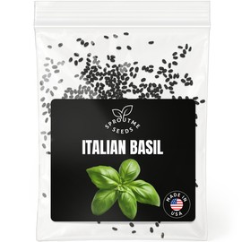 Italian Basil Seeds for Planting – 500+ Genovese Sweet Basil Herb Seeds for Pesto, Cooking and Garden Beds, Non-GMO Heirloom, High Germination (Ocimum basilicum)