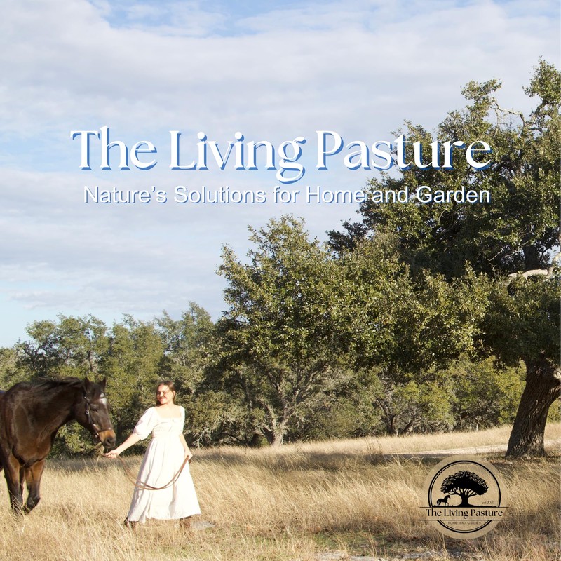 Live Oak Wood Ash - All Natural Clean Sifted Premium