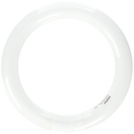 Satco S6501 6500K 22-Watt 4 Pin T9 Circline Lamp, Daylight