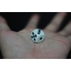 Magic Winner Dice Magic Dice Prophecy Magic Close-Up Magic Tool