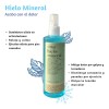Hielo Mineral Florigan Relajante Muscular 250ml Sprayer Alcanfor