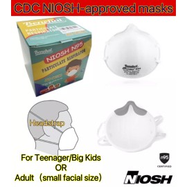 Unbranded 10-PCS Particulate Respirator N95 Mask Dust Disposable Face Masks Protective