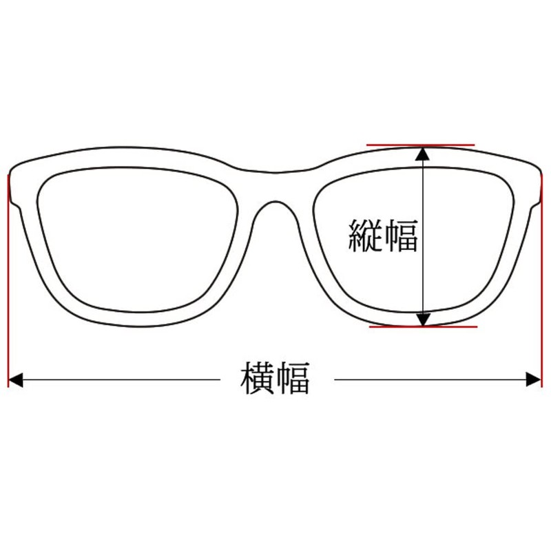 SPEED ADDICT CLASSIC ROUND SUNGLASS (Classic Round Sunglasses), Tortoise shell: