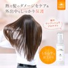 ワンダム ヒートケア ヘアオイル デイタイム 100ml シトラスの香り 熱で補修 スタイリング レディース メンズ