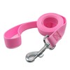 TAIAN 5 FT Strong Dog Leash, Nylon Dog Leashes for
