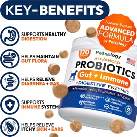 (2 Pack) Probiotics for Dogs - 340 Dog Probiotics Chews - Digestive Enzymes & Prebiotics - Support Gut Health, Diarrhea, Gas & Constipation Relief - Itchy Skin, Allergies - Advanced Supplement