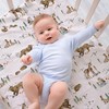 Sorrel + Fern 2-Pack Crib Sheet for Standard Crib Mattress