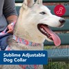 Coastal Pet Sublime Adjustable Dog Collar - Adjustable Plastic Buckle
