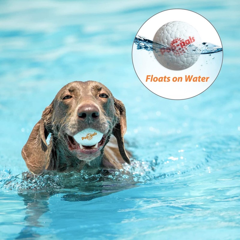 GiGwi Dog Toy Pop Pal M