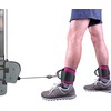 Shelly Ankle Straps for Cable Machines Leg Extensions Hip Abductors