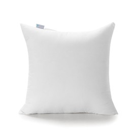 Acanva Indoor Decorative Throw Pillow Insert, Premium Fluffy and Soft Forms Sham Stuffer Cushion for Sofa Bed Couch Living Room, 20x20(Pack of 1), White