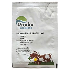 Kefir Starter Culture | Mesophilic & Thermophilic Blend with Yeasty Aroma & CO₂ Formation | Debaryomyces, Lactococcus, Leuconostoc, Streptococcus | For 1 L/3L Milk (For 3 L milk)